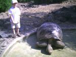 Highlight for Album: Galapagos Islands - March 2007