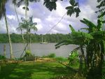 Highlight for Album: French Guiana, Maroni River - Mar 2009